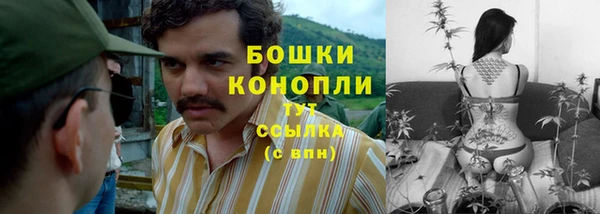 мдпв Нея