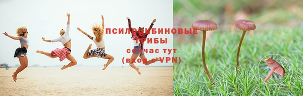 jwh Нефтекумск