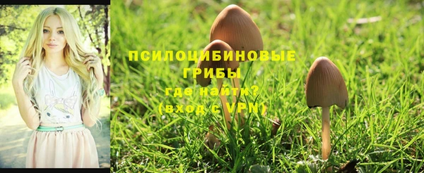 героин Бутурлиновка
