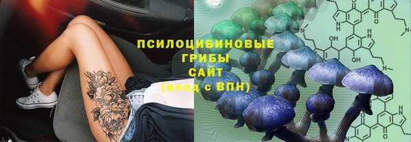 jwh Нефтекумск