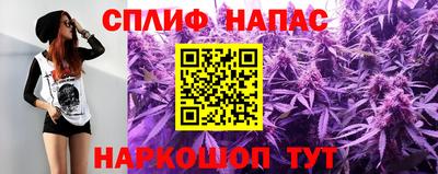 МДПВ Волгодонск