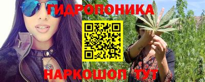 PSILOCYBIN Абакан