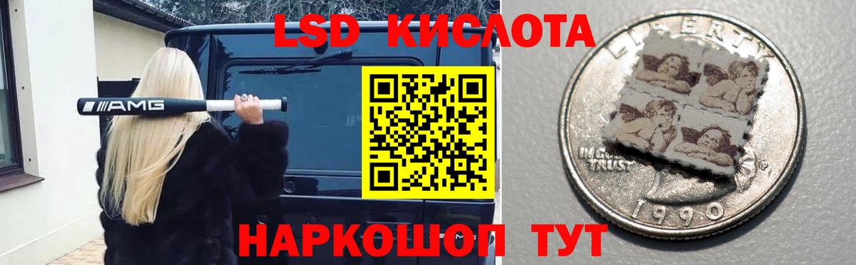 ЛСД экстази ecstasy  Вход с VPN  MEGA как войти  Новозыбков  Лсд 25 экстази кислота 