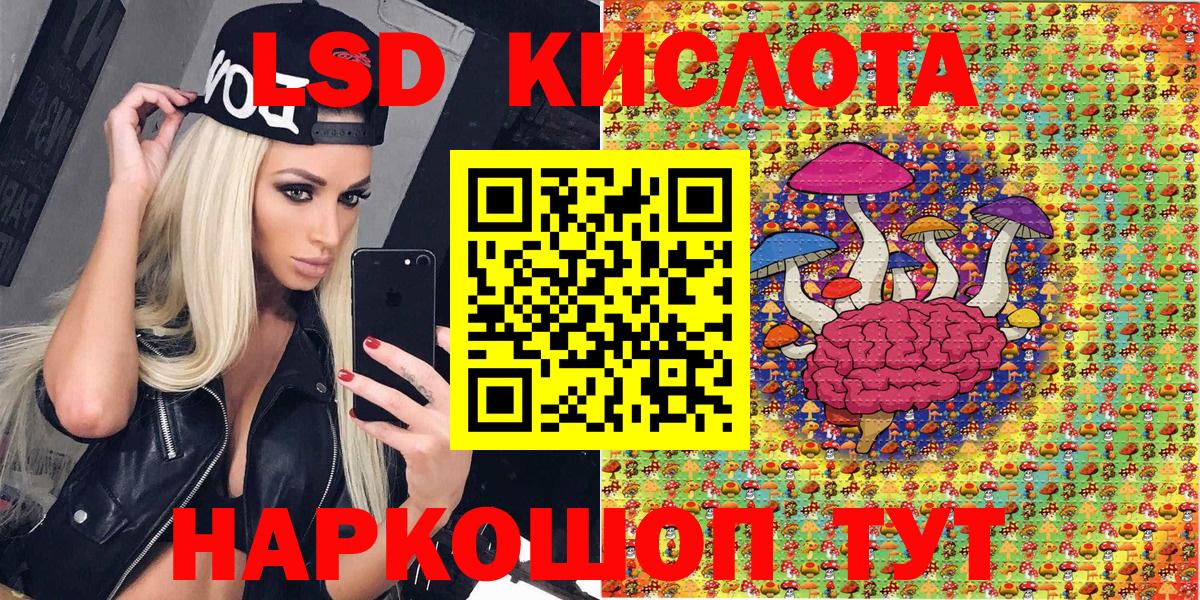 Новозыбков  магазин  наркотиков  Вход с VPN  Наркотические марки 1500мкг  Наркотические марки 1500мкг 