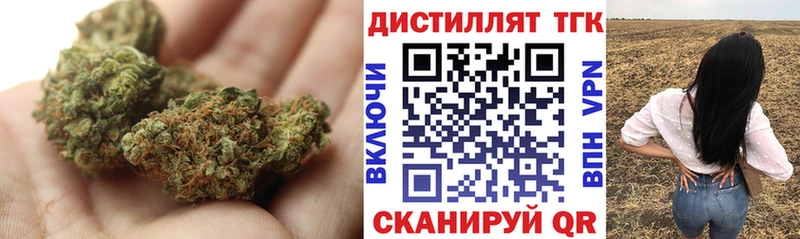 Дистиллят ТГК концентрат  darknet клад  Новозыбков  где купить  