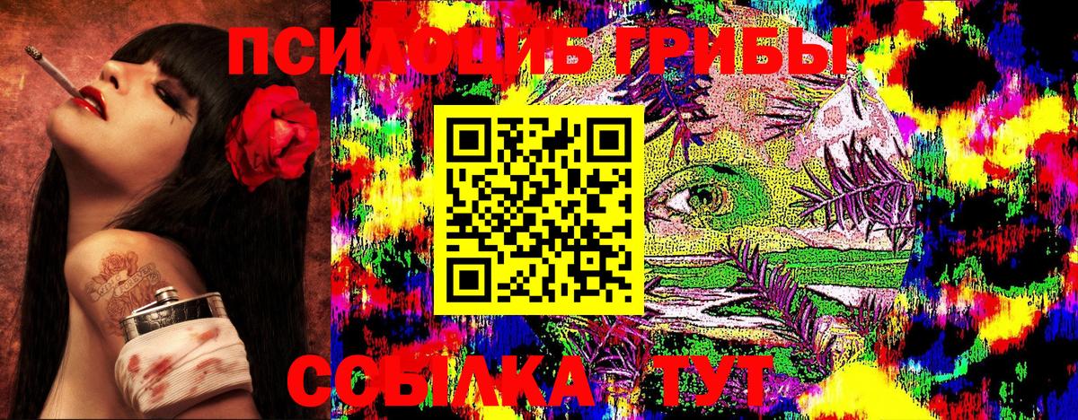 Галлюциногенные грибы Magic Shrooms  Псилоцибиновые грибы GOLDEN TEACHER  Вход с VPN  Новозыбков 