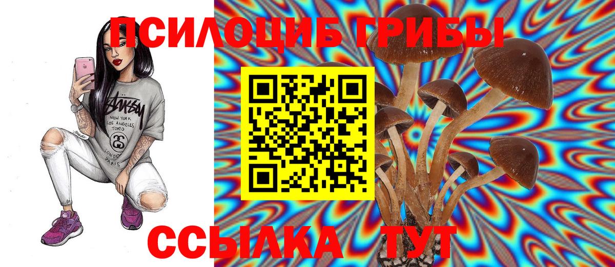 Псилоцибиновые грибы Magic Shrooms Новозыбков