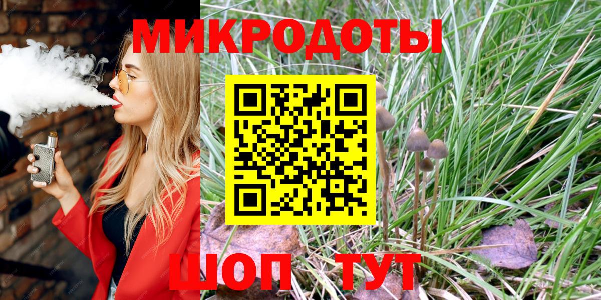 Псилоцибиновые грибы ЛСД  купить  цена  Новозыбков  Псилоцибиновые грибы GOLDEN TEACHER 