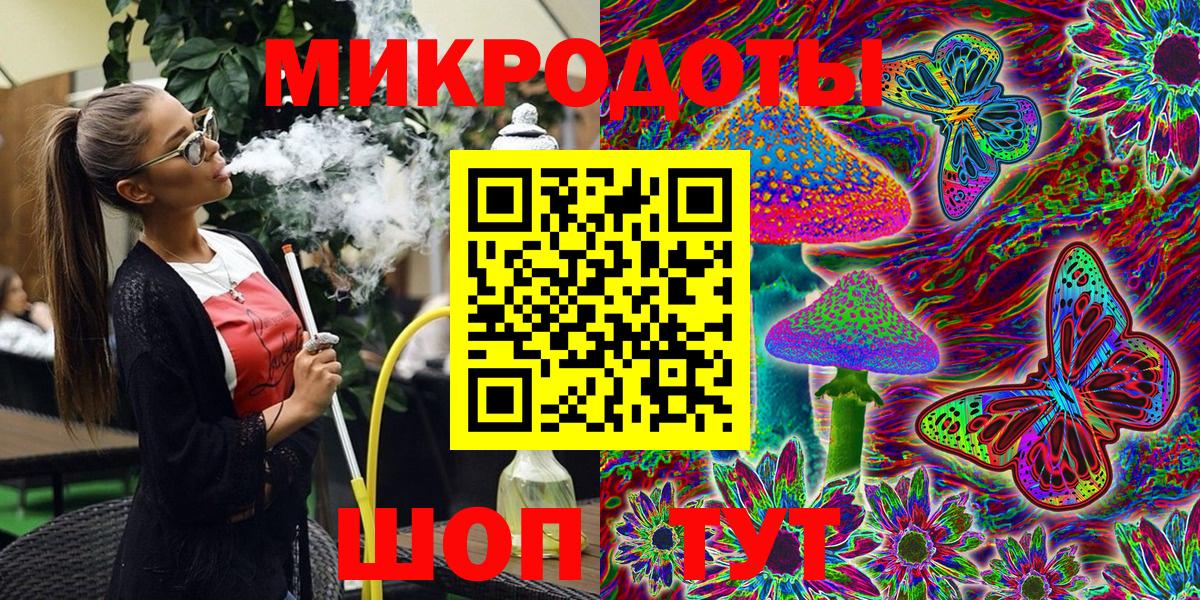 Псилоцибиновые грибы Psilocybine cubensis Новозыбков
