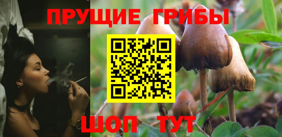 А ПВП СОЛЬ кристаллы  НБОМе  Новозыбков  МЕФ   ГАШ  Вход с VPN  МАРИХУАНА 