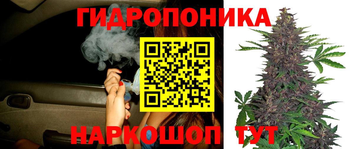 МАРИХУАНА планчик Новозыбков